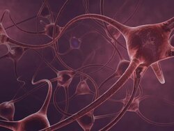Animation of neurons firing Stock Footage