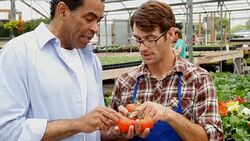 Confident nursery manager helps customer with tomato choice Stock Footage