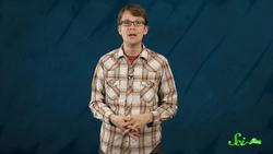 3 Odd Facts About Pigeons Instructional Video