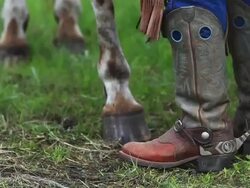 Cowboy boots, spurs, chaps and horse hooves Stock Footage