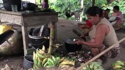Kichwa Indian woman prepares food for extended family assembled in open-air kitchen and dining room, in the presence of dogs and chickens on hard-packed dirt floor. Stock Footage