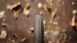 Bike riding along the cycle path, wheel, leaves, autumn Stock Footage