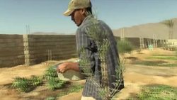 Farmers go organic with the help of western agrotourists News Clip