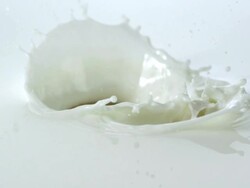 Slow motion close up dropping many peaches into milk, causing splashing, against white background / Studio, New Jersey, United States Stock Footage