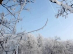 Ice on wood branch Stock Footage