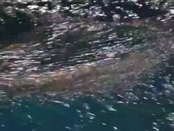 Giant wave pool in US Naval testing centre News Clip