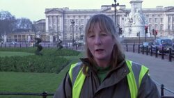 Londoners and tourists concerned after Queen hospitalized with stomach infection Instructional Video