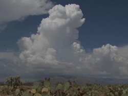 T/L thunderstorm cloud builds above cactus and prickly pear cactus in Sonoran Desert Arizona, USA Stock Footage