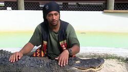 VOICED : Florida se queda sin luchadores de cocodrilos News Clip