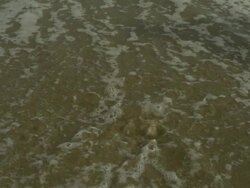 SLO MO man leaving footprint in sandy beach, lapped over by waves, Spain Stock Footage