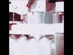 SYND 11 4 76 SWINE FLU VACCINE BEING CULTURED News Clip