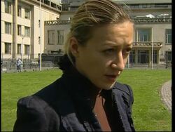 ICTY registry and chambers spokeswoman on Karadzic News Clip