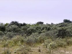 Protected nature reserve, wildlife sanctuary Stock Footage