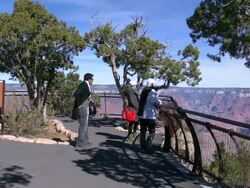 Grand Canyon lookout from a distance Stock Footage