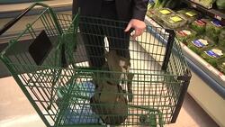 Tips for sticking to your 2017 resolutions News Clip