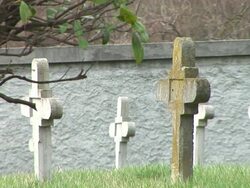 HD: Gravestones Stock Footage