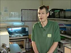 Arachnophobes confront spiders to conquer their fear News Clip