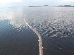 Rio's bay threatened by pollution News Clip