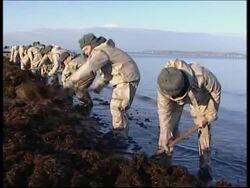 Work continues to minimise environmental damage from oil spill Instructional Video