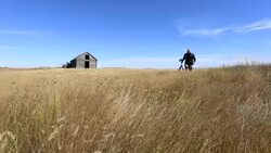 Photographer walks through a wheat field Stock Footage