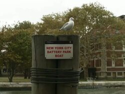 Gloomy, Rainy Weather Descends On New York City Stock Footage