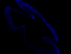 Snowflake Stock Footage