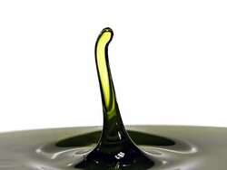ECU SLO MO Olive falling into olive oil against white background / Vieux Pont, Normandy, France Stock Footage
