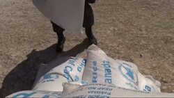 Raw: US Army Delivers Aid in Devastated Haiti Instructional Video