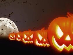 Halloween Theme With Bats and Pumpkins HD Stock Footage