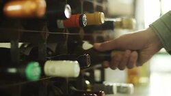 Choosing wine Stock Footage