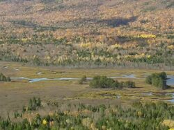 WS ARIEAL DS View of Forest and lake / Maine, United States Stock Footage