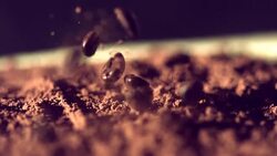 Coffee beans falling down Stock Footage