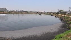 Power plant closure leads to hospital and pollution fears News Clip