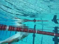 HD Super Slow-Mo: Young Woman Starting Breaststroke Race Stock Footage