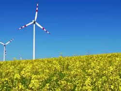 Oilseed Rape And Wind Turbine Stock Footage