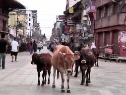 Nepal & Kathmandu Stockshots News Clip