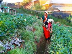 Two lahu people hill tribes Stock Footage