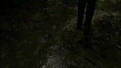 A hiker walks along a muddy, rainforest trail and approaches a high platform with stairs. Stock Footage