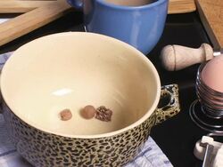 Corn flakes Stock Footage