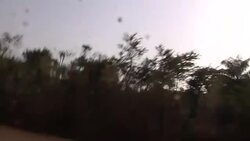 Sierra Leone, is preparing for a sharp increase in the number of Ebola cases over the holiday period. News Clip