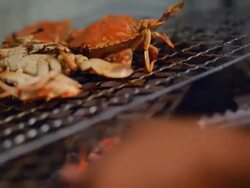 close up : Barbecue Grill crab Stock Footage