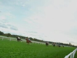 WS TS Shot of Horses gallop down home stretch / Cologne, North Rhine Westphalia, Germany  Stock Footage