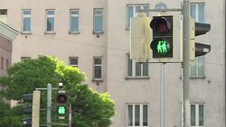 CLEAN : Gay friendly traffic lights installed in Vienna News Clip