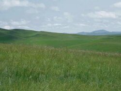 Prairie Stock Footage