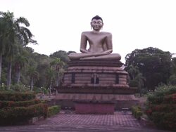 MS View of Buddha statue / Colombo, Sri Lanka Stock Footage