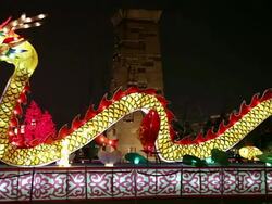 MS PAN Dragon lanterns decorations during chinese spring festival / xi'an, shaanxi, china Stock Footage