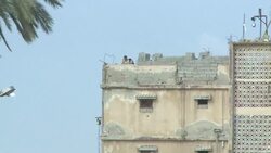 CLEAN : Egypt border guards shoot dead Gazan News Clip