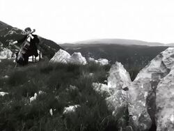 CRANE: Musician Inspired By Nature Stock Footage