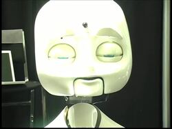 Robots mimic human facial expressions News Clip