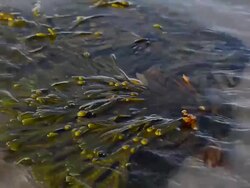 General views of Bamburgh Castle Stock Footage